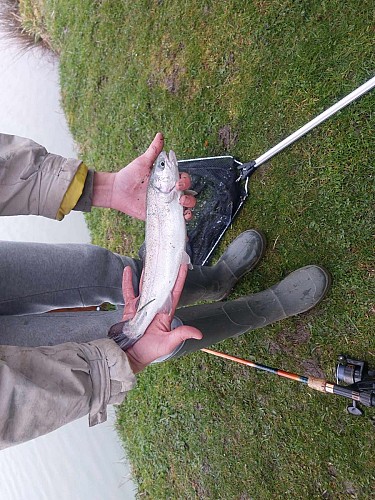 430254254_367520539433089_3156845537883679257_n