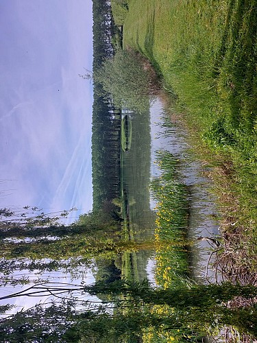 345254611_809499403925180_8147666022553100683_n