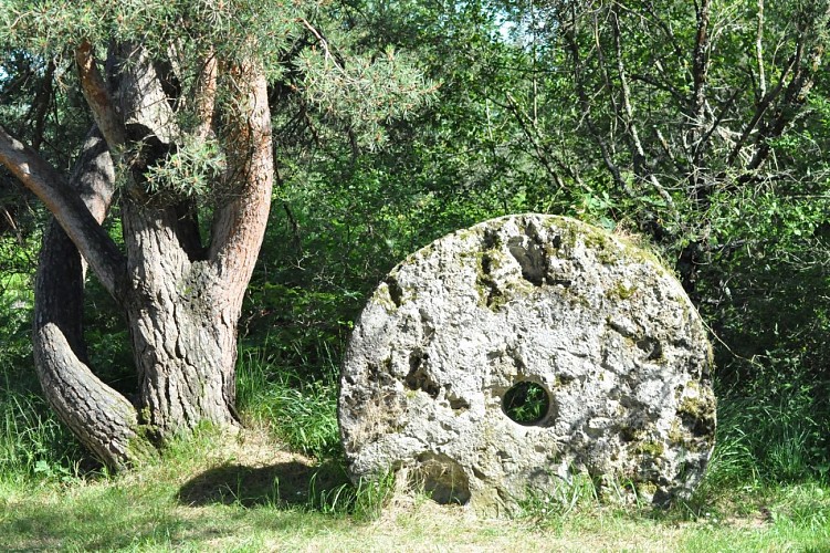 Réserve Naturelle Nationale du Pinail