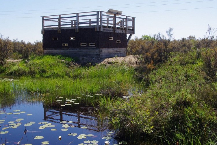 Observatoire su sentier de la réserve du Pinail - K.Lelarge_6
