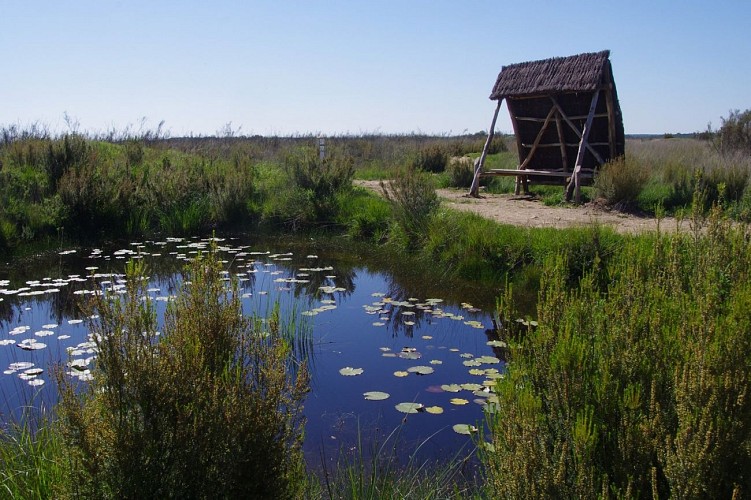 Réserve Naturelle Nationale du Pinail