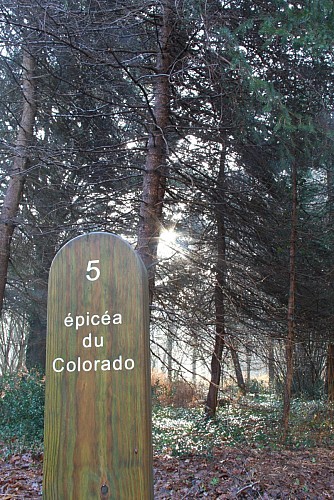 Arboretum de Châtellerault