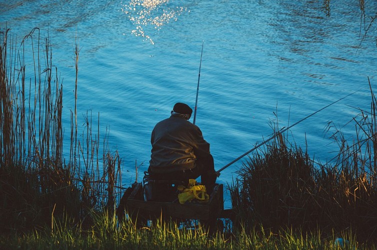 Étang de Pêche de Doussay