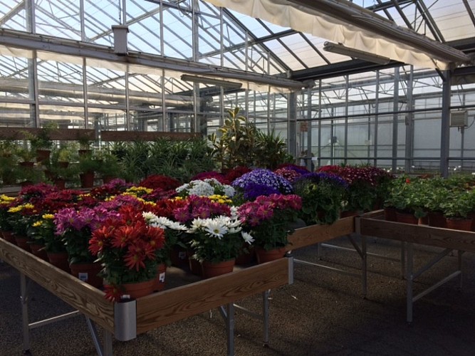 Les serres horticoles du Lycée Agricole