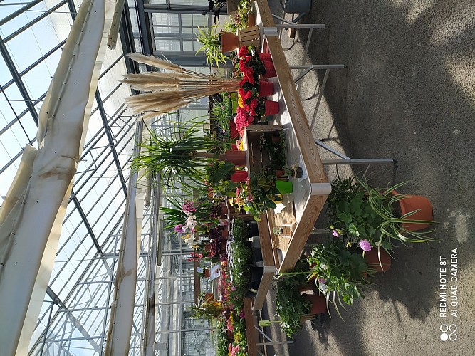 1616502625078 serre de vente