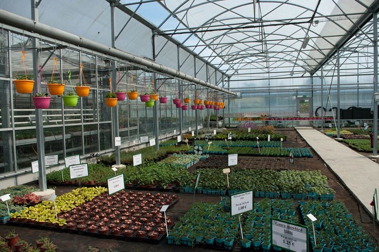 Serres plants