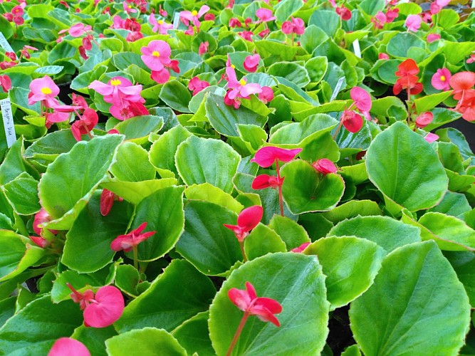 WhatsApp Image 2023-03-30 at 09.33.48