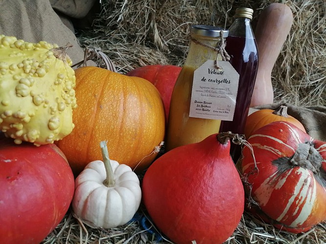 En automne, venez choisir vos courges à decorer ou à déguster !