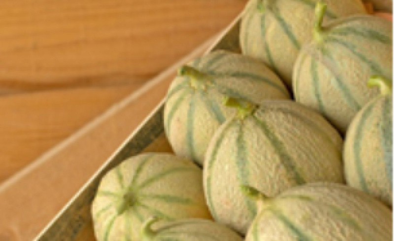 La Gourmandise du Poitou