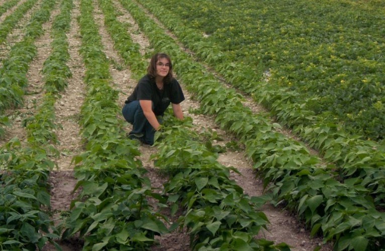 Le Jardin des Alleux