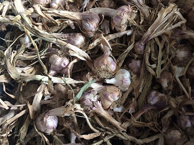 Earl de la boutinière