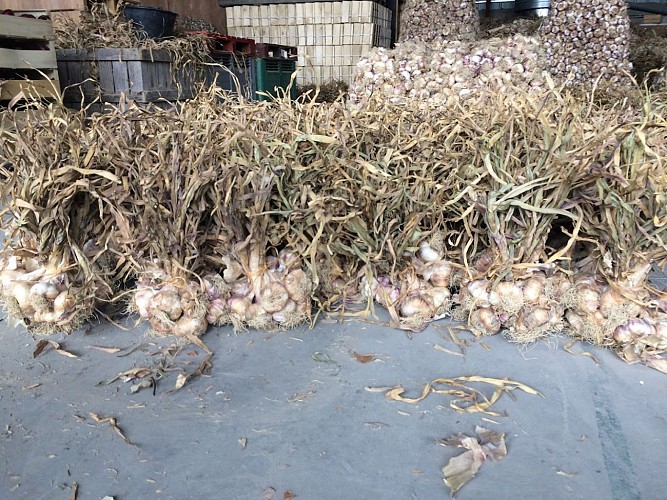 Earl de la boutinière