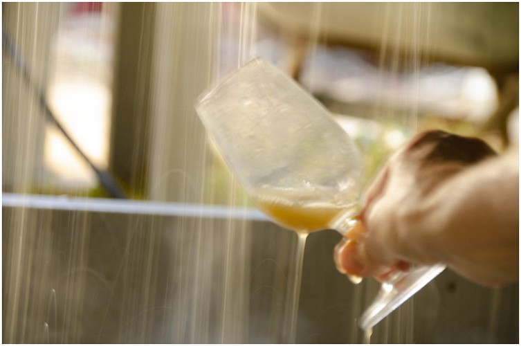 Domaine des Renardières_2