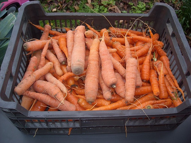 Le panier de la grillerie