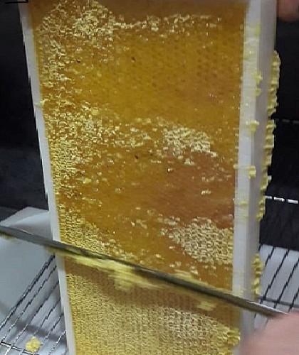 Extraction du Miel_4
