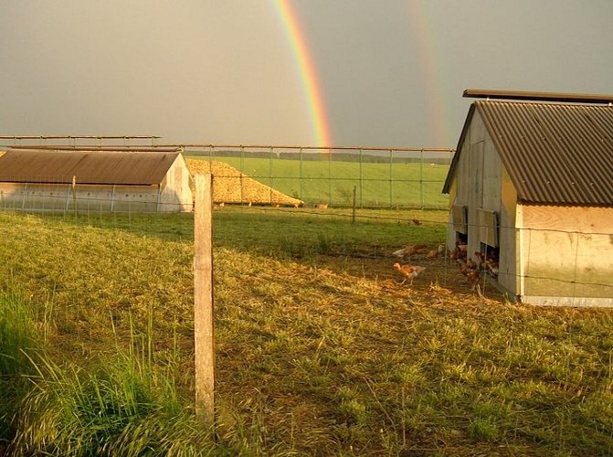 Ferme de la Croix Blanche