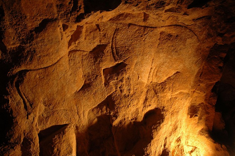 DSC_0028_GPincon_DRACPoitouCharentes_ClicheOFuentes