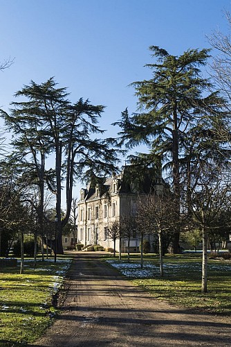 Parc de la Mairie 3