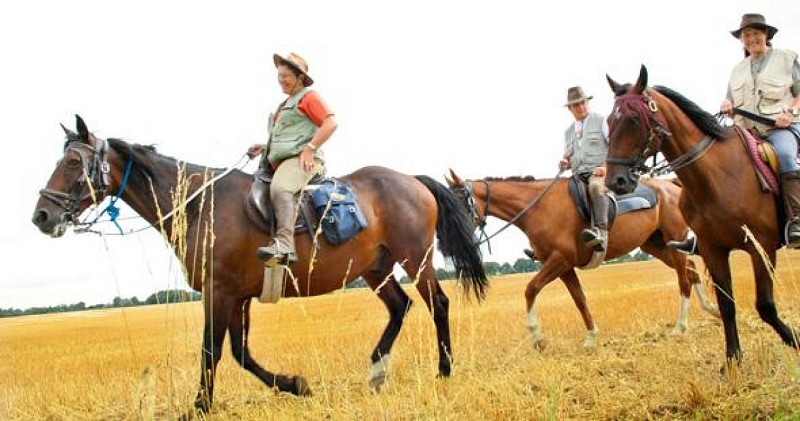 Centre équestre Les Ecuries de Locksley