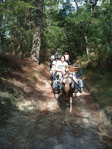 Domaine de la Foye_1