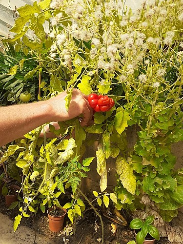 LOI_sainte-colombe_etoile-verte©otca-2020 redim (1)