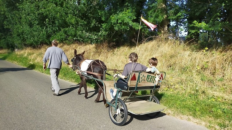 LOI_ste-colombe_etoile-verrte©darteyre-2022 (1)