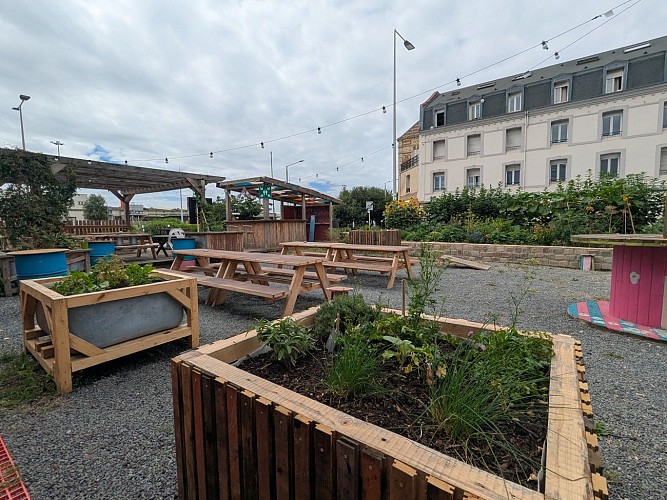 PXL_20250717_120525691 (1)