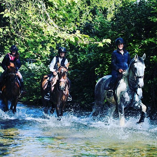 IMG_20220525_131740_924