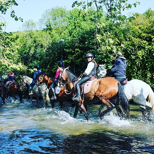 IMG_20220525_131725_916