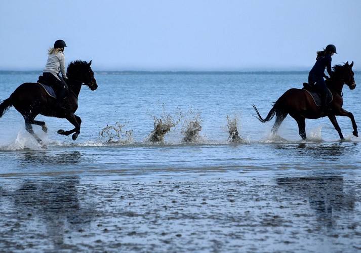 Les Cavaliers de La Vallée