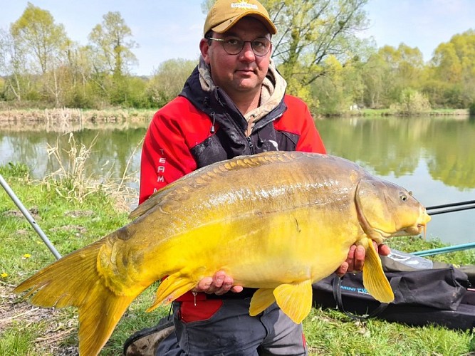 Carpe miroirt 14k2021 (8)