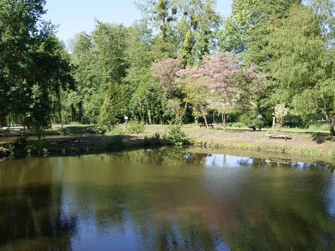 La Truite du Buisson