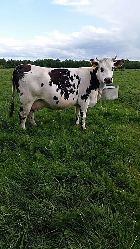 Ferme des Chataigniers