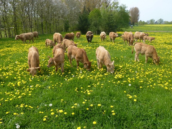 La Ferme du Petit Bois