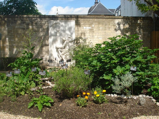 Musee Flaubert et histoire de la medecine - Rouen (5)