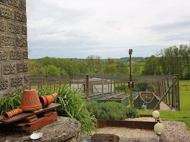 escargot_du_mont_fossé-sma-Eva_mabire (7) (3)