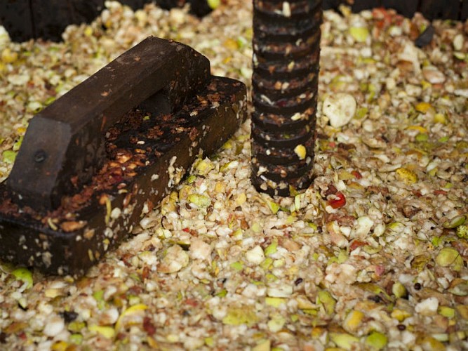 Campagne-ferme-cidre-2016-20©SMA-H