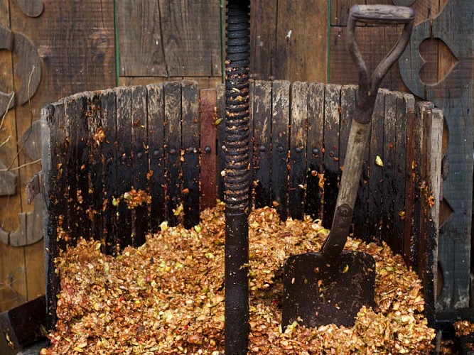 Campagne-ferme-cidre-2016-29©SMA-H