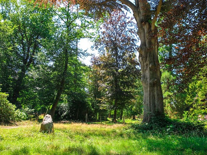 parc_du_chateau_hugleville-sma-mathilde_harel-800x60 (7)