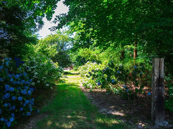 parc_du_chateau_hugleville-sma-mathilde_harel-800x60 (13)