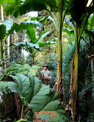 Eu_Jardin-jungle_Jardin@M.BOULANGER_2021