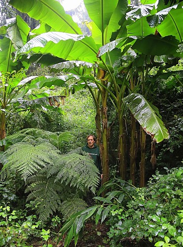 Eu_Jardin-jungle_Jungle-1@M.BOULANGER_2021