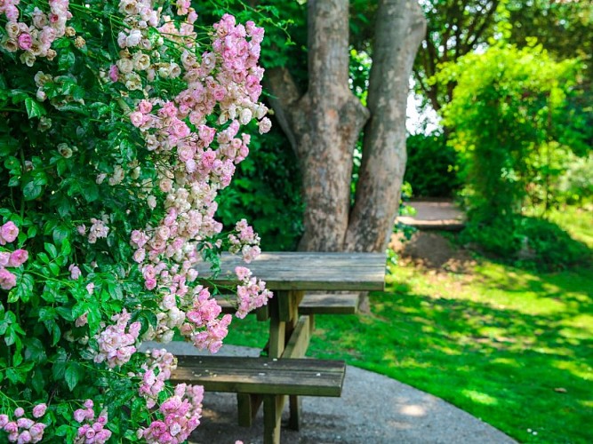 Roseraie-NDB--SMA--M.Harel