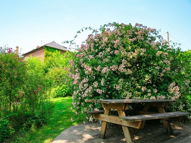 Roseraie de Notre-Dame-de-Bondeville