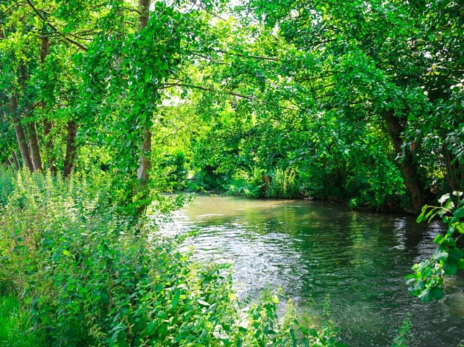 Roseraie de Notre-Dame-de-Bondeville