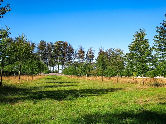 Parc du Château de Galleville - 2020