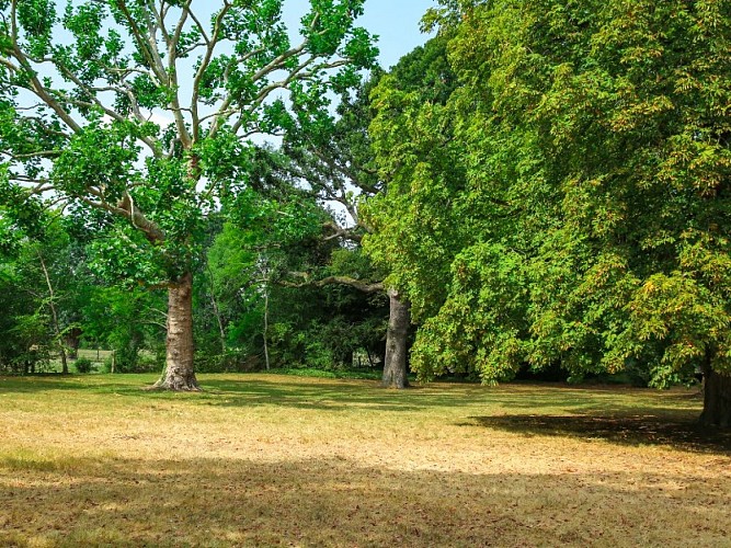 parc_manoir_villers-sma-mathilde_harel-800x600 (8)