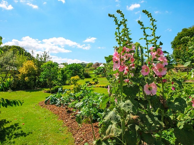 Lucy - Le jardin du crapaud à trois pattes