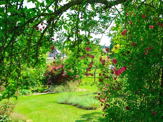 Lucy - Le jardin du crapaud à trois pattes