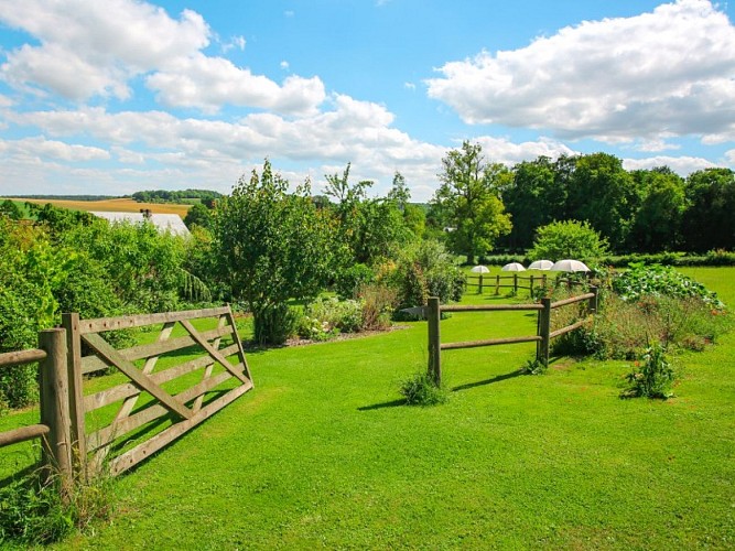 Lucy - Le jardin du crapaud à trois pattes